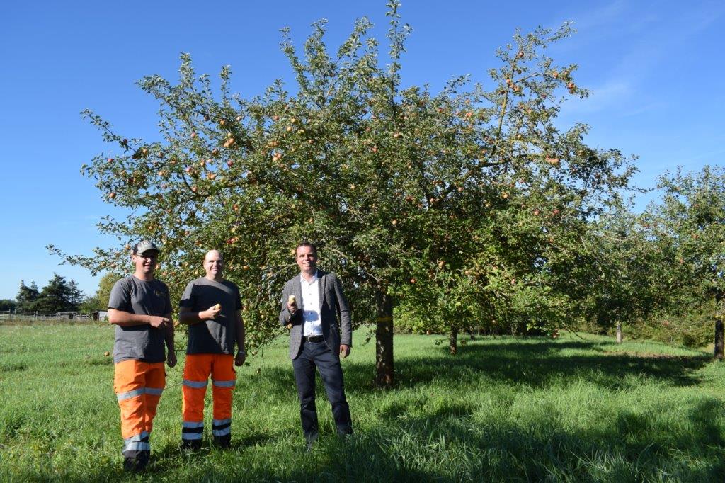 Gelbes Band am Baum