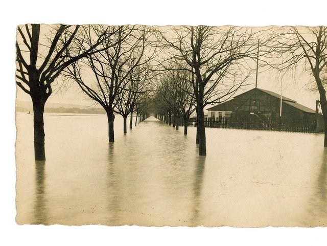 Baumallee mit Sägewerk - Hochwasserkatstrophe vom 6. Februar 1909.