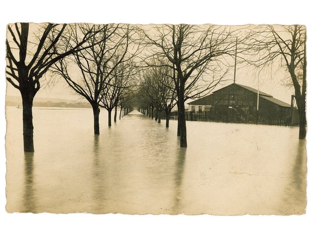 Baumallee mit Sägewerk - Hochwasserkatstrophe vom 6. Februar 1909.