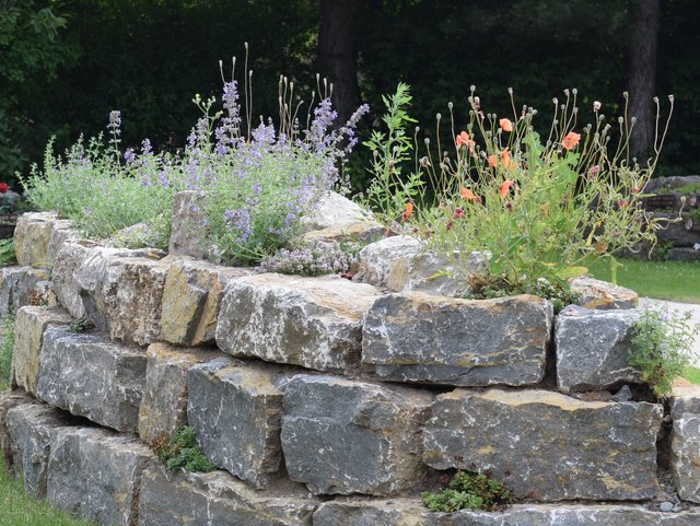 Urnenmauer mit Pflanzen
